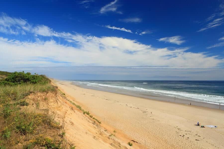 Classic Cape Great Location Dog Welcome Villa Wellfleet Exterior foto